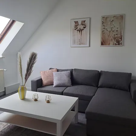 公寓 Beethovenstrasse 索林根